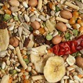 Tidymix Parrot Diet - High Quality Seed Blend 22,6kg
